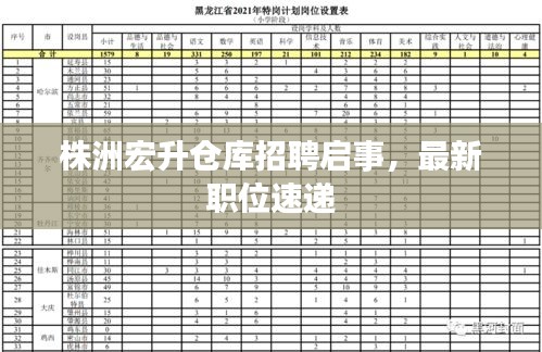 株洲宏升仓库招聘启事，最新职位速递