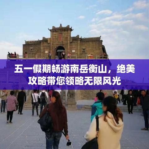 百鸟齐鸣 第3页