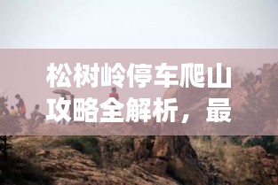 松树岭停车爬山攻略全解析，最新指南助你畅游无阻！