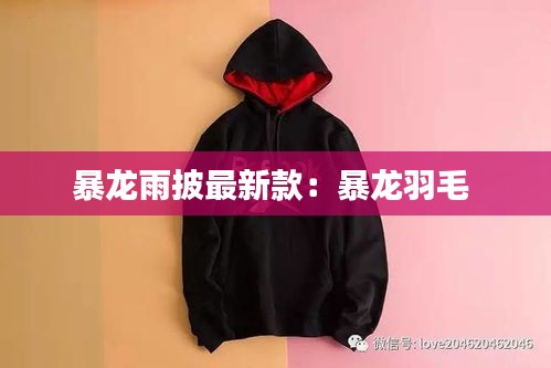暴龙雨披最新款：暴龙羽毛 