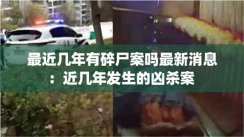 最近几年有碎尸案吗最新消息：近几年发生的凶杀案 