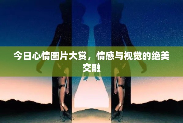 今日心情图片大赏，情感与视觉的绝美交融