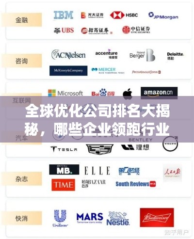 全球优化公司排名大揭秘，哪些企业领跑行业前列？
