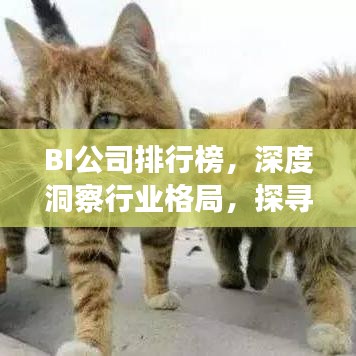 BI公司排行榜，深度洞察行业格局，探寻领先企业力量