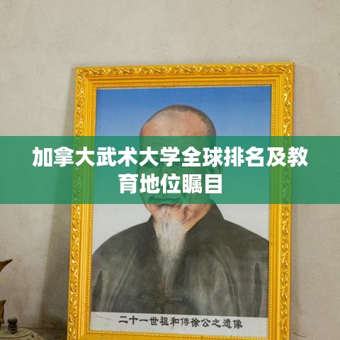 加拿大武术大学全球排名及教育地位瞩目