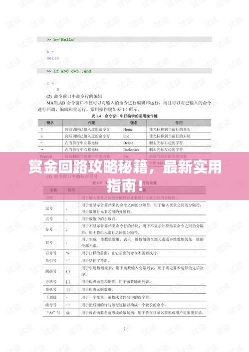 赏金回路攻略秘籍，最新实用指南！