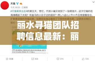 丽水寻猫团队招聘信息最新：丽水买猫的地方在哪 
