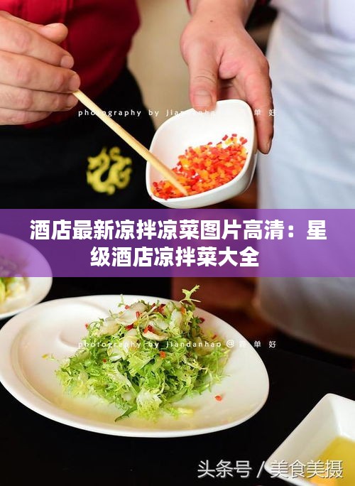 酒店最新凉拌凉菜图片高清：星级酒店凉拌菜大全 