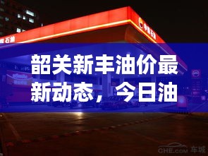韶关新丰油价最新动态，今日油价表、变动分析与影响因素探讨