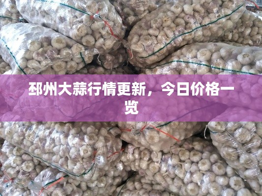 邳州大蒜行情更新，今日价格一览