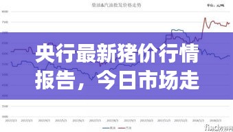 央行最新猪价行情报告，今日市场走势分析