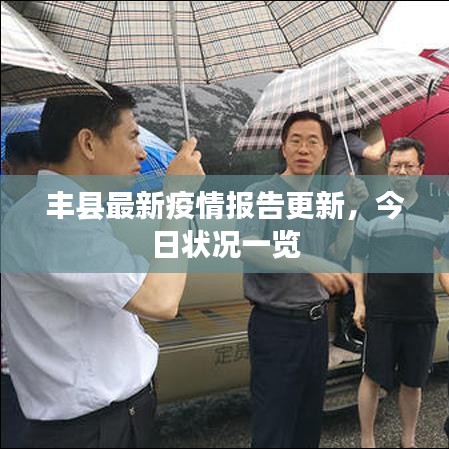 丰县最新疫情报告更新，今日状况一览
