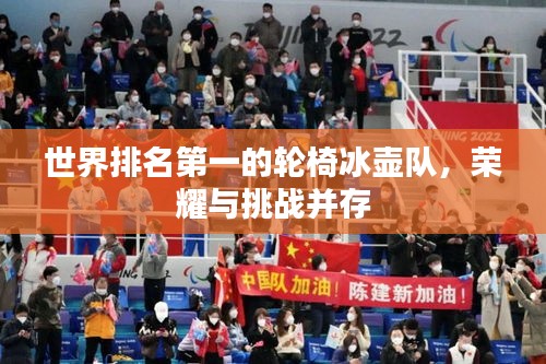 世界排名第一的轮椅冰壶队，荣耀与挑战并存
