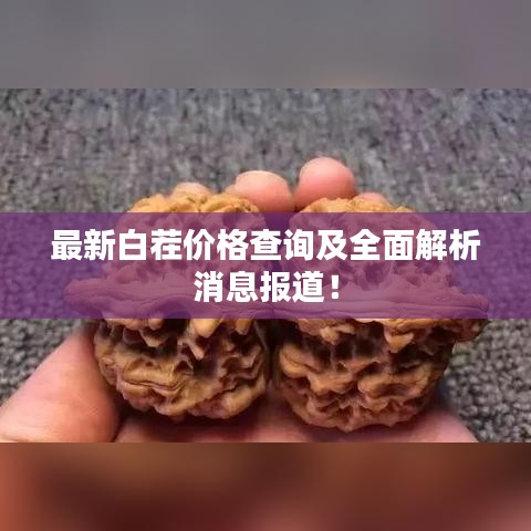最新白茬价格查询及全面解析消息报道！