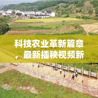 科技农业革新篇章，最新插秧视频新闻播放大全