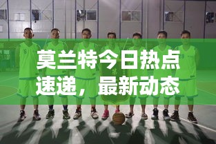 莫兰特今日热点速递，最新动态一网打尽！