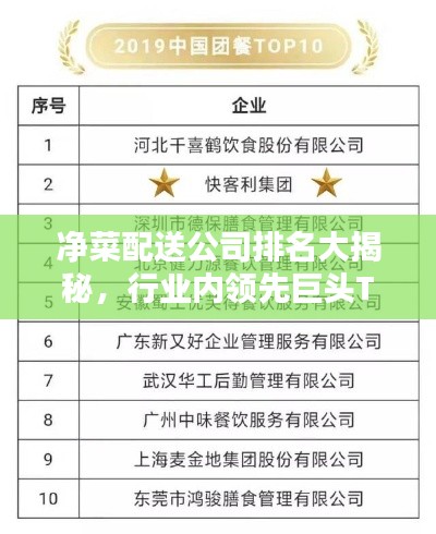 净菜配送公司排名大揭秘，行业内领先巨头TOP榜！