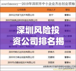 深圳风险投资公司排名揭秘，影响力深度剖析