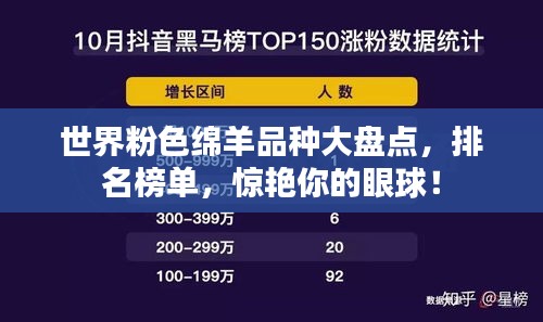 世界粉色绵羊品种大盘点，排名榜单，惊艳你的眼球！
