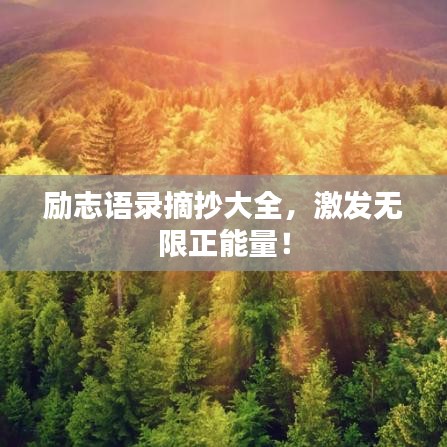 励志语录摘抄大全，激发无限正能量！