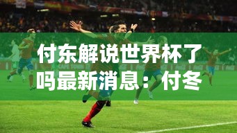 付东解说世界杯了吗最新消息：付冬生的个人简介 