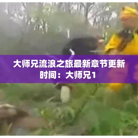 大师兄流浪之旅最新章节更新时间：大师兄1 