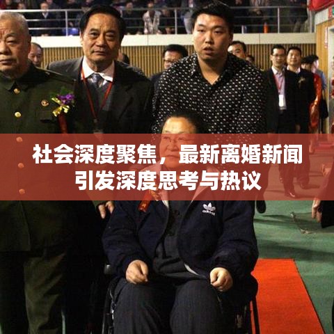 社会深度聚焦，最新离婚新闻引发深度思考与热议