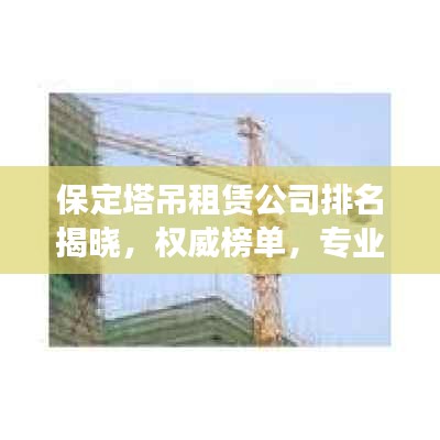 保定塔吊租赁公司排名揭晓，权威榜单，专业企业一览无余！