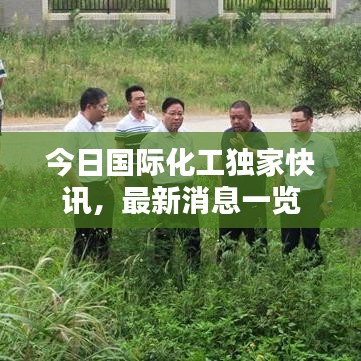 今日国际化工独家快讯，最新消息一览