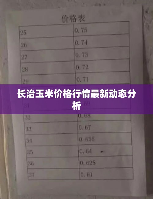 长治玉米价格行情最新动态分析