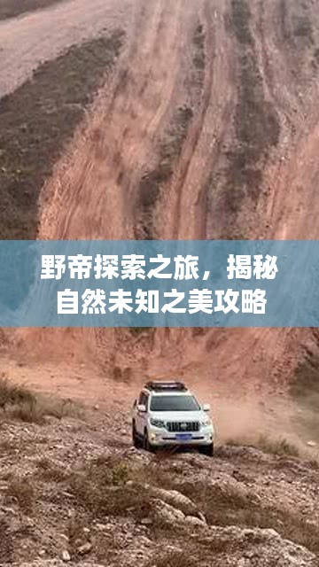 野帝探索之旅，揭秘自然未知之美攻略