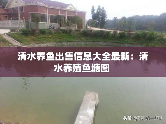 清水养鱼出售信息大全最新：清水养殖鱼塘图 