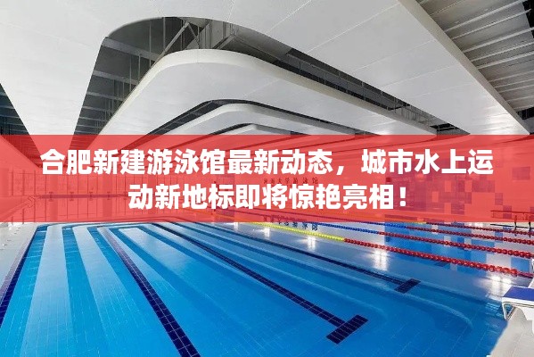 合肥新建游泳馆最新动态，城市水上运动新地标即将惊艳亮相！