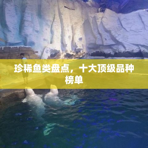 珍稀鱼类盘点，十大顶级品种榜单
