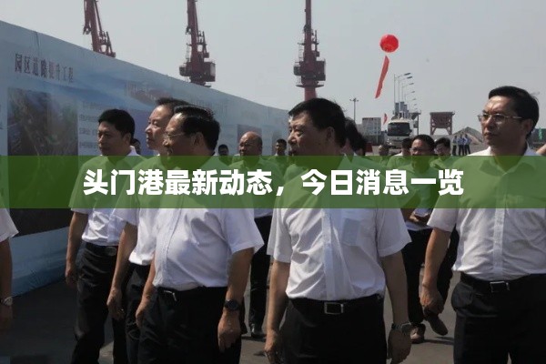 头门港最新动态，今日消息一览
