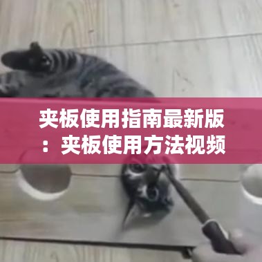 夹板使用指南最新版：夹板使用方法视频 