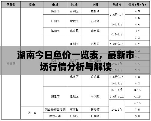 湖南今日鱼价一览表，最新市场行情分析与解读