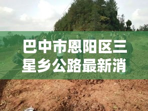 巴中市恩阳区三星乡公路最新消息：恩阳区三星乡任职名单 