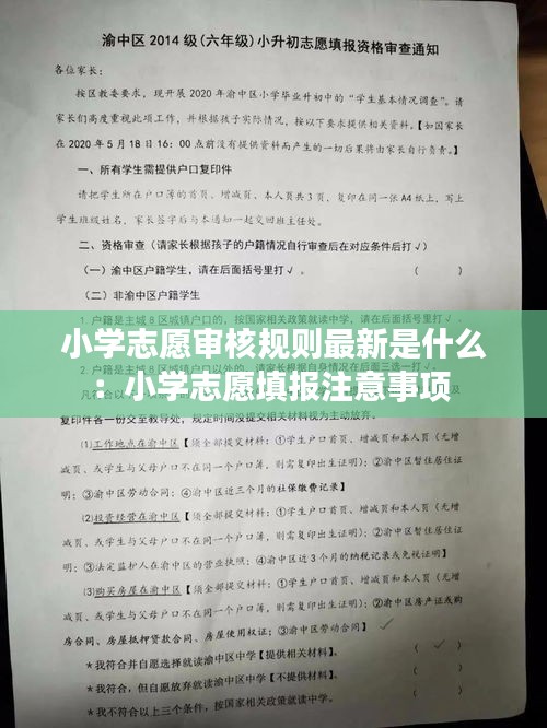 小学志愿审核规则最新是什么：小学志愿填报注意事项 