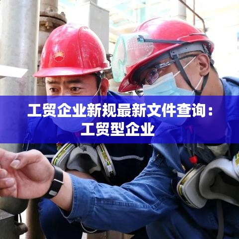工贸企业新规最新文件查询：工贸型企业 