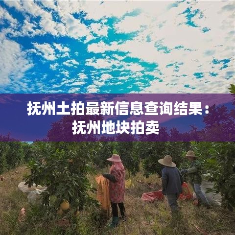 抚州土拍最新信息查询结果：抚州地块拍卖 