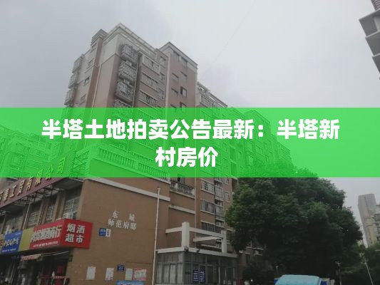 半塔土地拍卖公告最新：半塔新村房价 