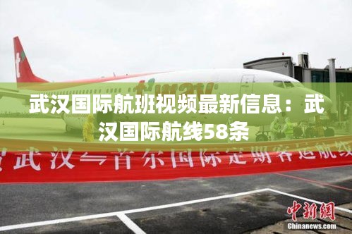武汉国际航班视频最新信息：武汉国际航线58条 