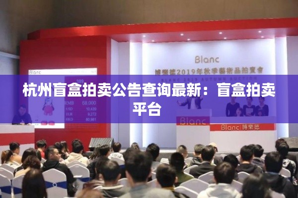 杭州盲盒拍卖公告查询最新：盲盒拍卖平台 