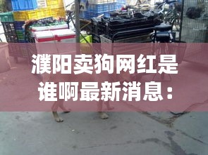 濮阳卖狗网红是谁啊最新消息：濮阳卖狗的地方在哪里 