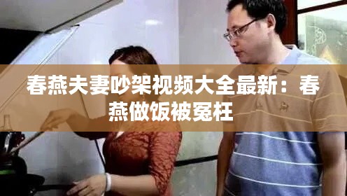 春燕夫妻吵架视频大全最新：春燕做饭被冤枉 