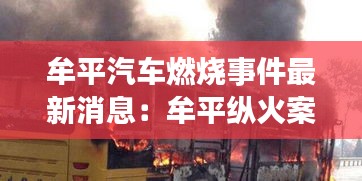 牟平汽车燃烧事件最新消息：牟平纵火案 