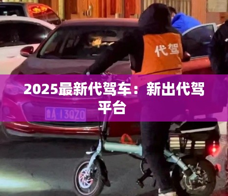 2025最新代驾车：新出代驾平台 