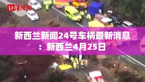 新西兰新闻24号车祸最新消息：新西兰4月25日 