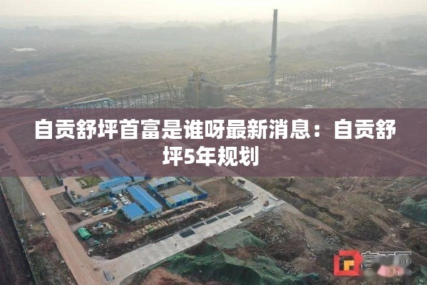 自贡舒坪首富是谁呀最新消息：自贡舒坪5年规划 